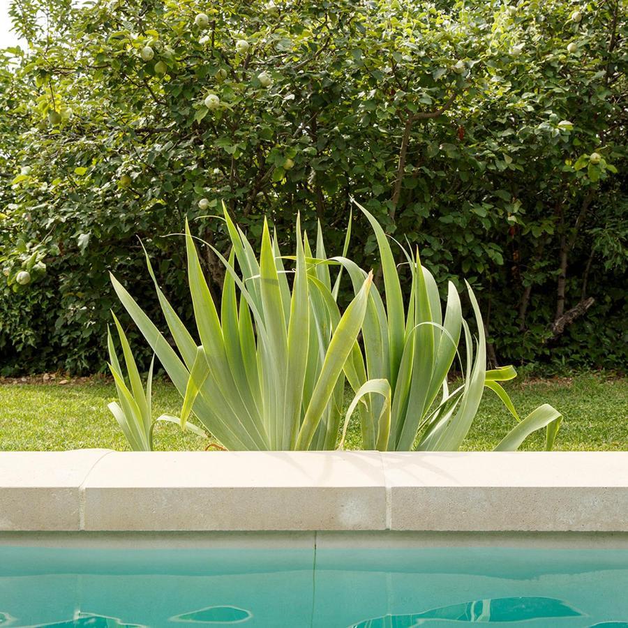 Bed and Breakfast la Bastide Jouval Gordes Exterior foto